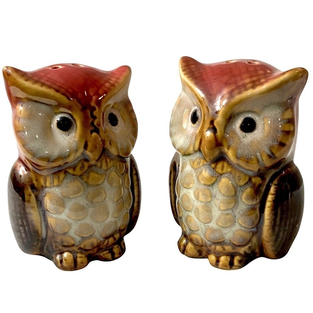 Owl Salt and Pepper Shakers Hand Painted Ceramic Rustic Farmhouse Decorative Set